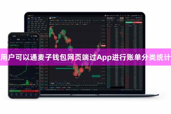 用户可以通麦子钱包网页端过App进行账单分类统计