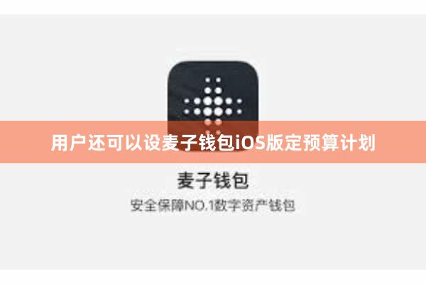 用户还可以设麦子钱包iOS版定预算计划