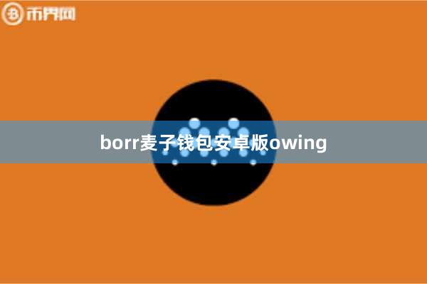 borr麦子钱包安卓版owing