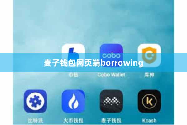 麦子钱包网页端borrowing