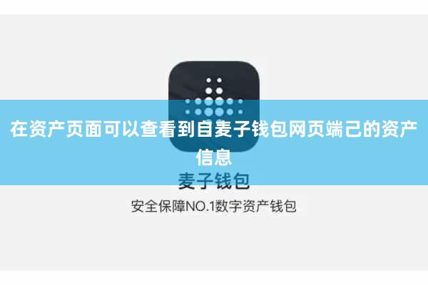 在资产页面可以查看到自麦子钱包网页端己的资产信息