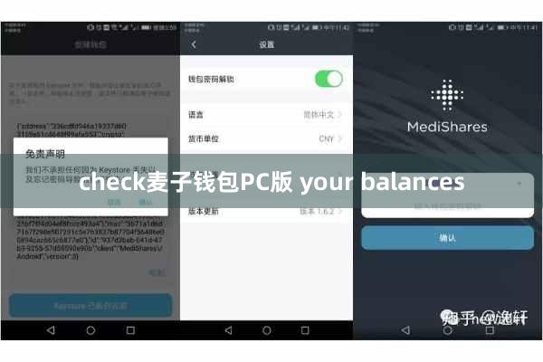 check麦子钱包PC版 your balances